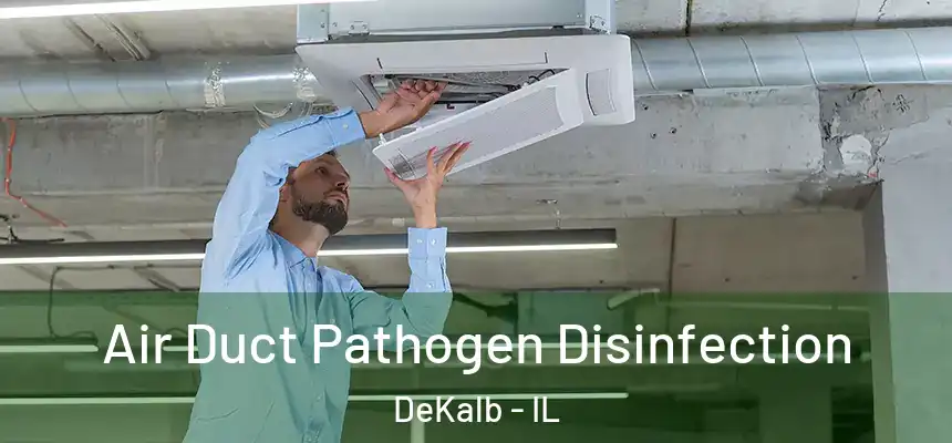 Air Duct Pathogen Disinfection DeKalb - IL