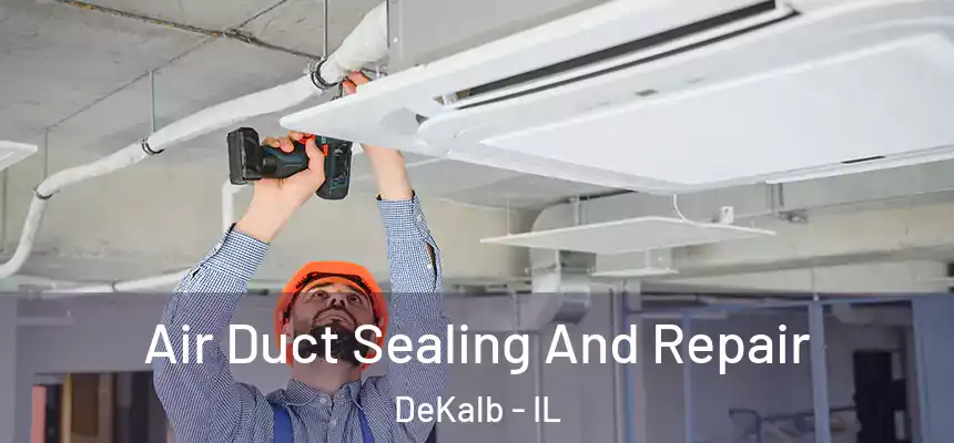  Air Duct Sealing And Repair DeKalb - IL