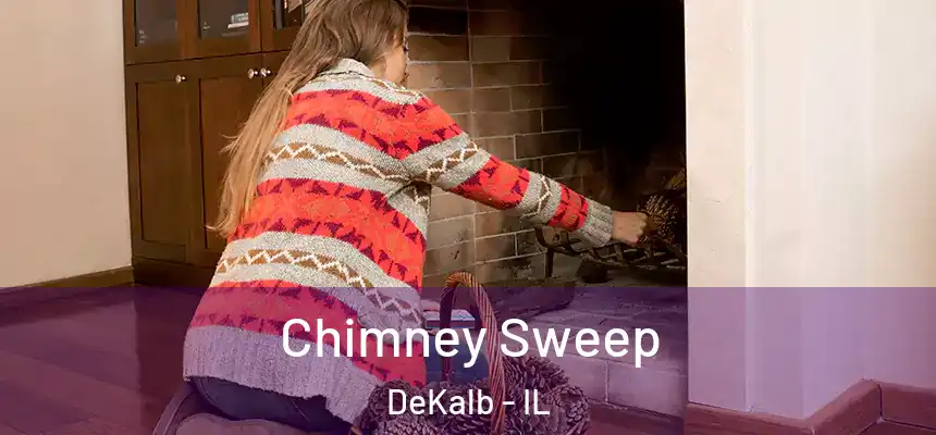  Chimney Sweep DeKalb - IL