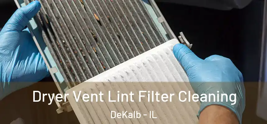 Dryer Vent Lint Filter Cleaning DeKalb - IL