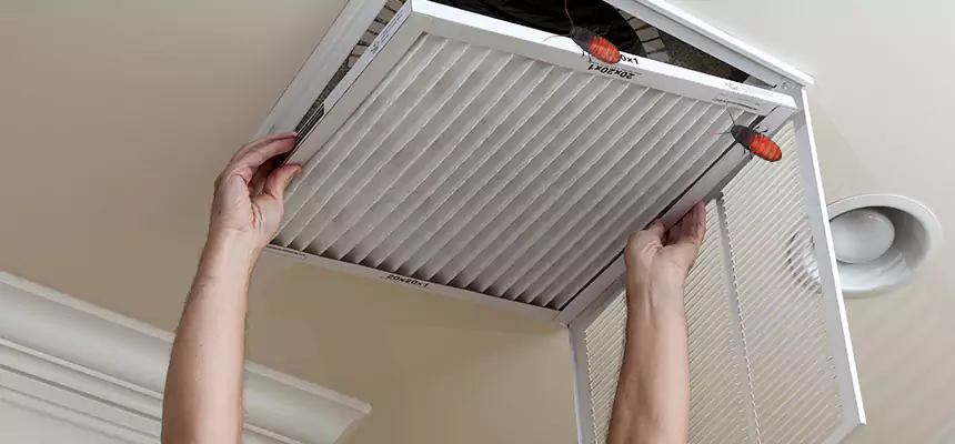 Our Insect Removal from Air Ducts Services in DeKalb, IL