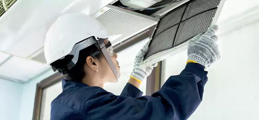 Our Mold & Mildew Removal from Air Ducts Services in DeKalb, IL