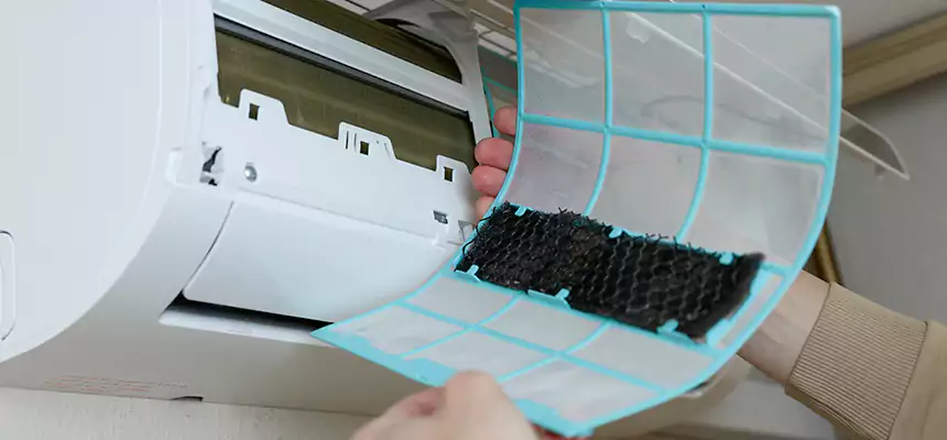 Gentle Ductwork Odor-Control Pet Dander Duct Cleaning in DeKalb, IL