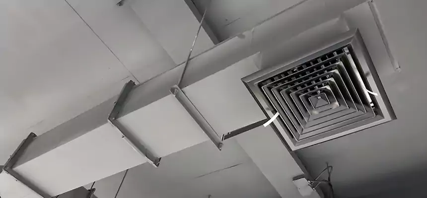 Our Rodent Droppings In Vents Services in DeKalb, IL