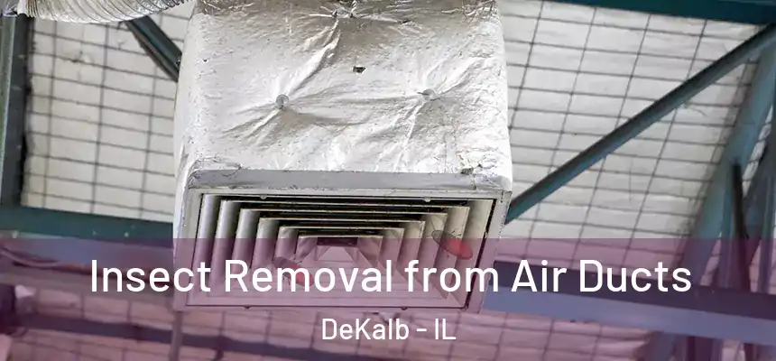 Insect Removal from Air Ducts DeKalb - IL