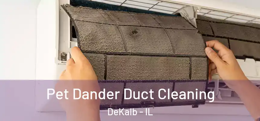  Pet Dander Duct Cleaning DeKalb - IL