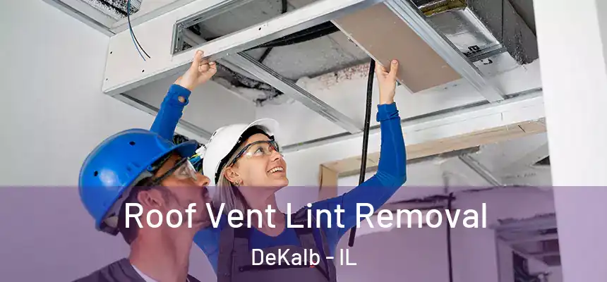  Roof Vent Lint Removal DeKalb - IL