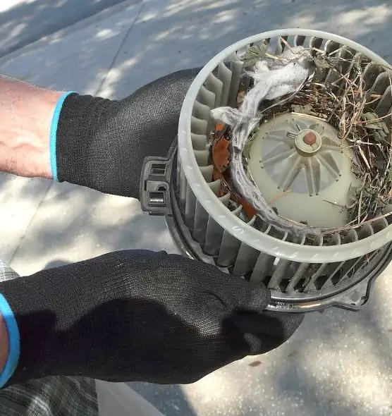 About Air Duct Rat Removal in DeKalb, IL