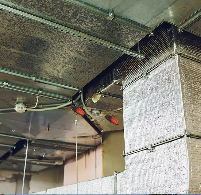 Why Homeowners & Businesses Trust Us DeKalb, IL?