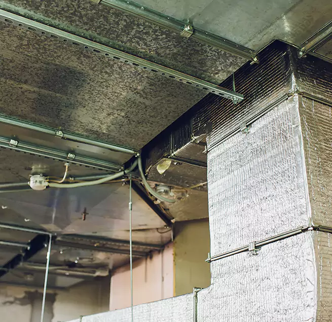 Why Homeowners & Businesses Trust Us in DeKalb, IL?